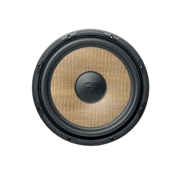 P 30 FSE · Focal