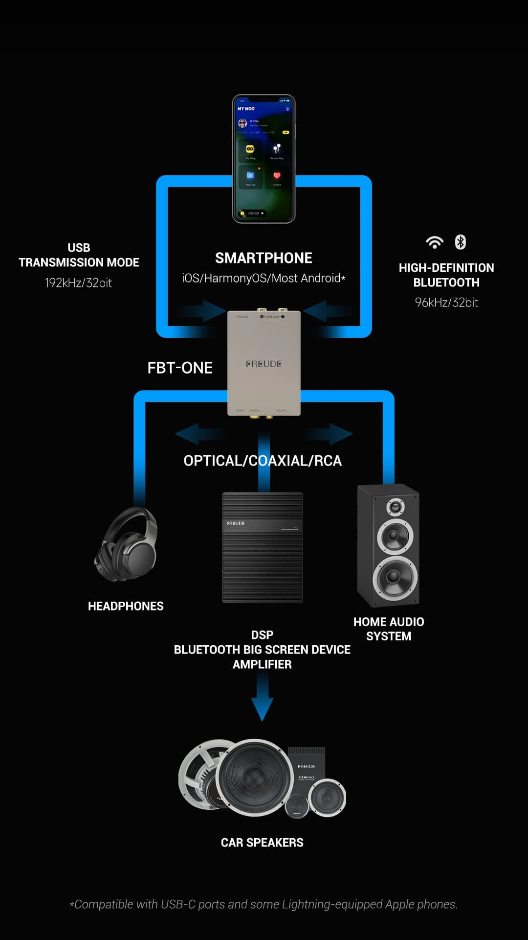 Freude Audio FBT-ONE