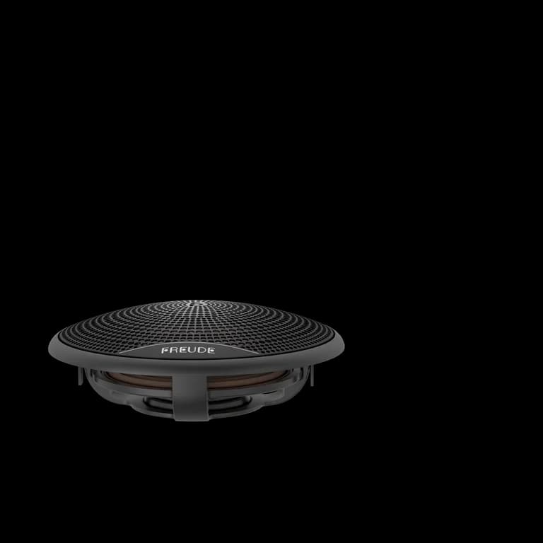 FDS-100 — 4" Sky Channel Full-range Speaker