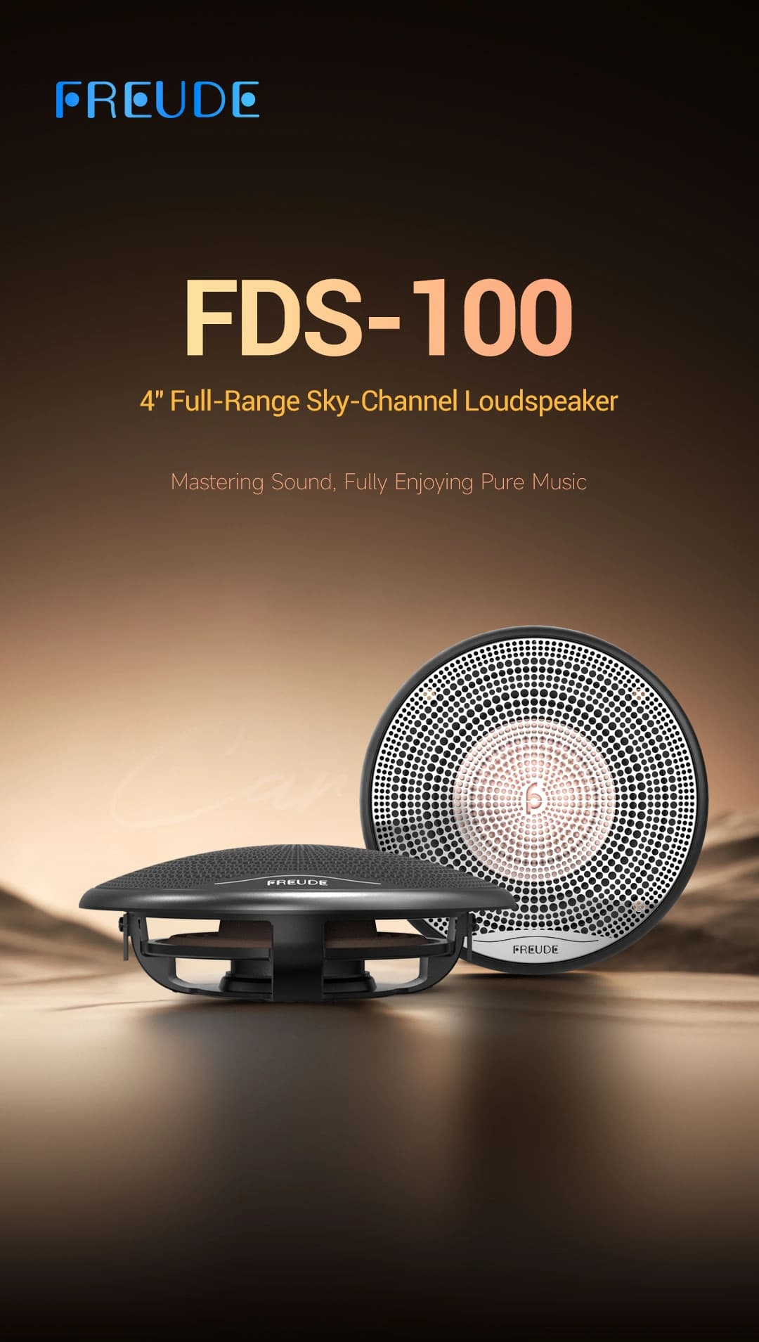 Freude Audio FDS-100