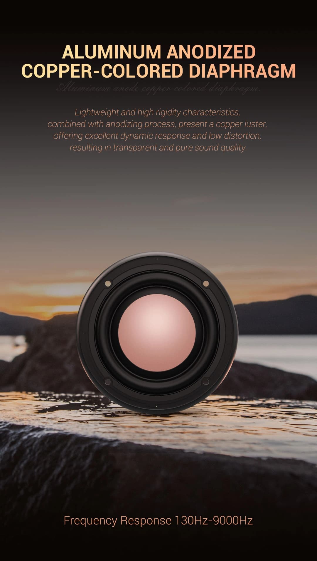 Freude Audio FDS-100