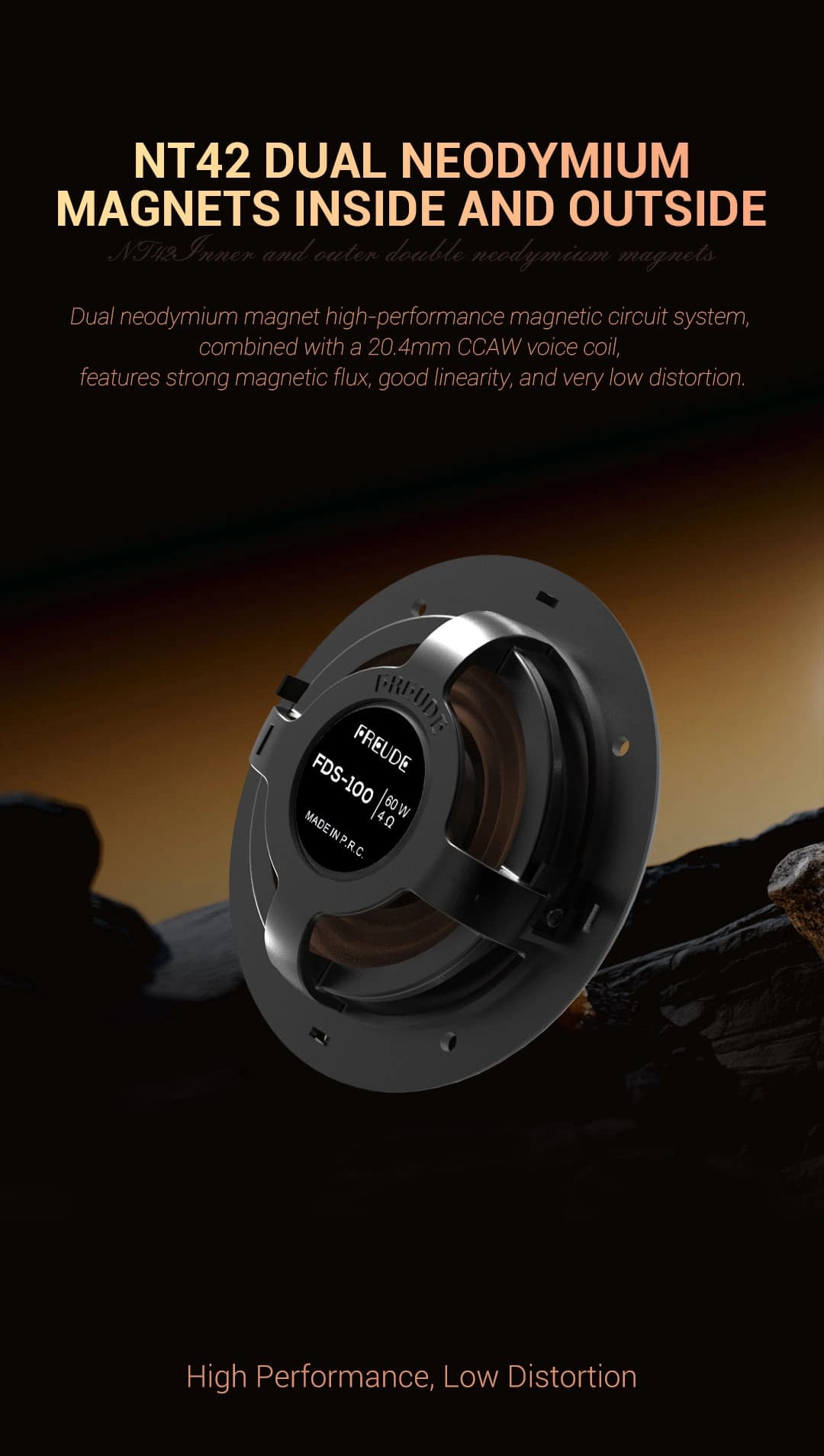 Freude Audio FDS-100