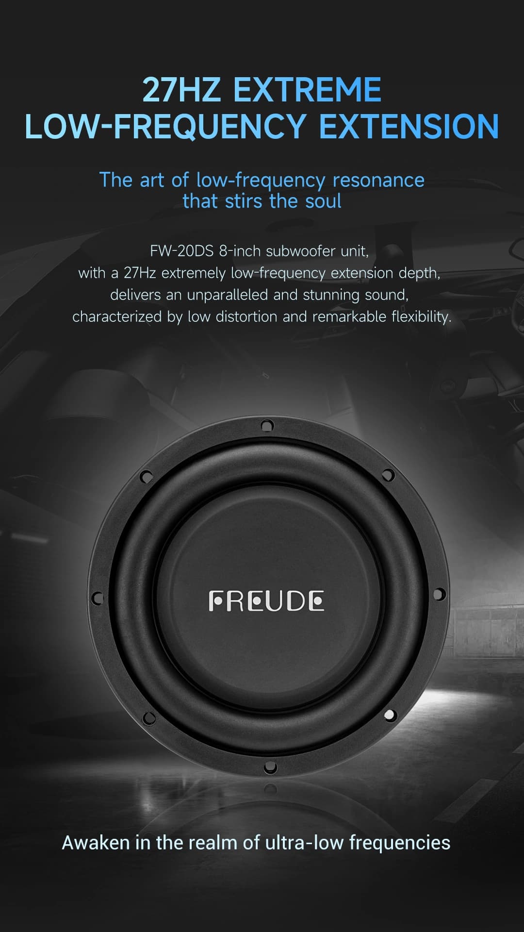 Freude Audio FW-20DS