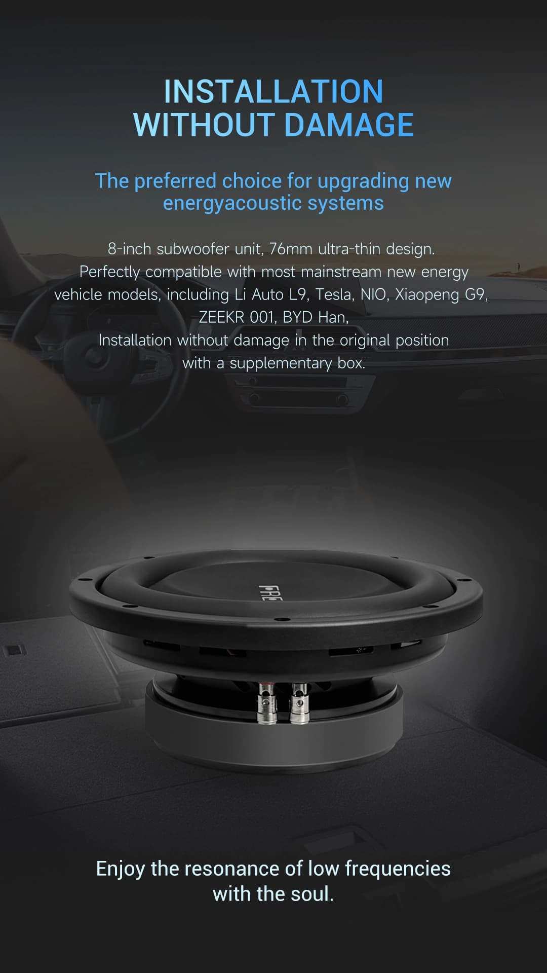 Freude Audio FW-20DS